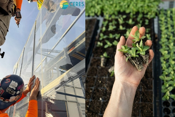 Folienherstellung Nowofol