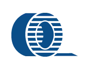 Icon Individual Solutions Blue