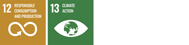 Icon Nachhaltigkeit En 02