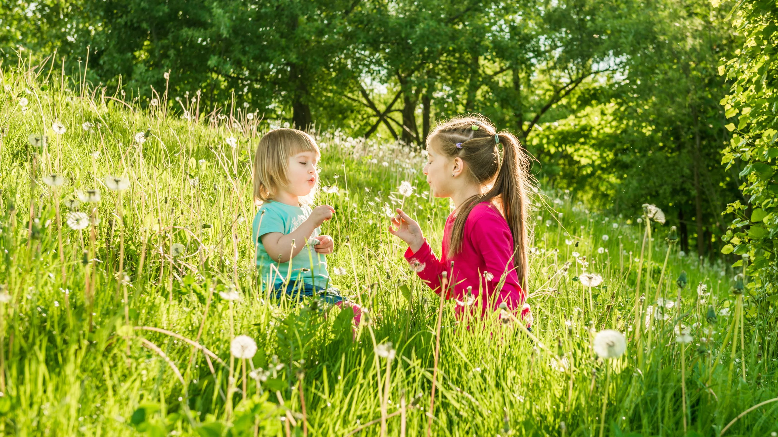 Kinder Blumenwiese